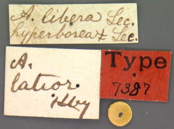 Media type: image;   Entomology 7387 Aspect: labels